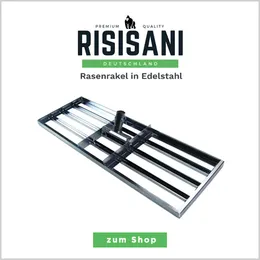 Rasenrakel